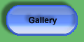 Gallery Link
