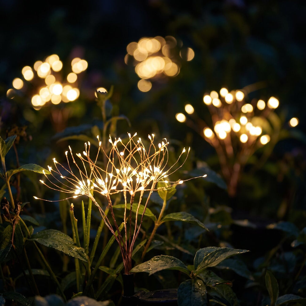 Starburst Firework Fairy Lights
