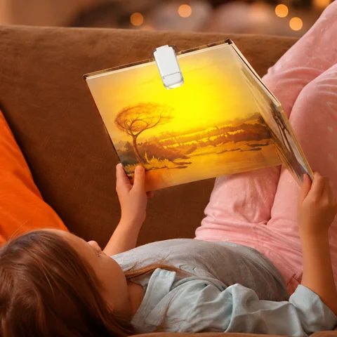 Clara Book Light